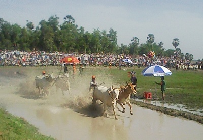 LỄ HỘI ĐUA BÒ NĂM 2012 TẠI AN GIANG