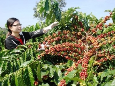 NHIỀU MÓN ĐẶC SẢN VIỆT NAM ĐẠT KỶ LỤC CHÂU Á